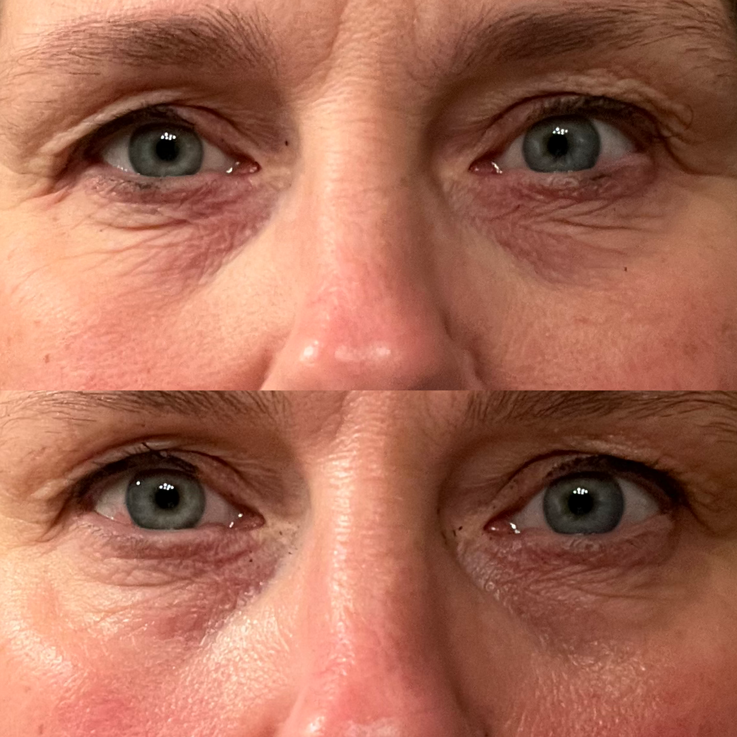 RESTORE - Tallow Day Cream